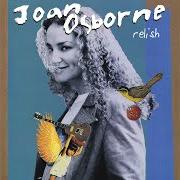 Il testo CRAZY BABY di JOAN OSBORNE è presente anche nell'album Relish (1995)