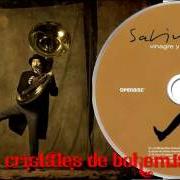 Il testo VIOLETAS PARA VIOLETA di JOAQUIN SABINA è presente anche nell'album Vinagre y rosas (2009)