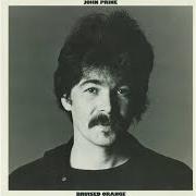 Il testo THE HOBO SONG di JOHN PRINE è presente anche nell'album Bruised orange (1978)