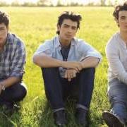 Il testo PARANOID dei JONAS BROTHERS è presente anche nell'album Lines, vines and trying times (2009)