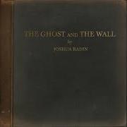 Il testo I'LL BE YOUR FRIEND di JOSHUA RADIN è presente anche nell'album The ghost and the wall (2021)