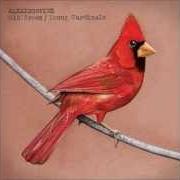 Il testo TWO SISTERS di ALEXISONFIRE è presente anche nell'album Old crows / young cardinals (2009)