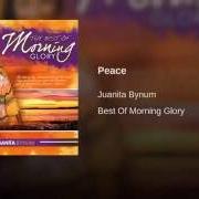 Il testo PEACE di JUANITA BYNUM è presente anche nell'album Morning glory, vol. 1: peace (1999)