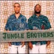 Il testo I REMEMBER dei JUNGLE BROTHERS è presente anche nell'album V.I.P. (1999)