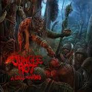 Il testo POPULATION SUICIDE dei JUNGLE ROT è presente anche nell'album A call to arms (2022)