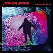 Il testo WHAT YOU WON'T DO FOR LOVE di JUNIOR BOYS è presente anche nell'album Big black coat (2016)