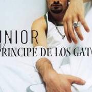 Il testo TERCIOPELO dei JUNIOR MIGUEZ è presente anche nell'album Príncipe de los gatos (2003)