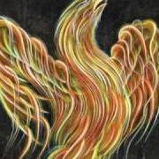 Phoenix Phoenix