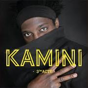 Il testo LE PANNEAU DANCE CHALLENGE di KAMINI è presente anche nell'album 3ème acte (2020)