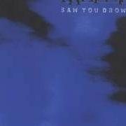 Il testo NERVE dei KATATONIA è presente anche nell'album Saw you drown (1998)