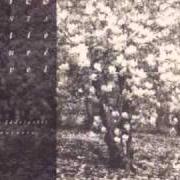 Il testo SPLEEN di ALICE è presente anche nell'album Mélodie passagère (1988)