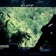 Il testo MORIRE D'AMORE di ALICE è presente anche nell'album Samsara (2012)