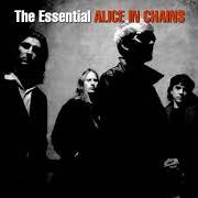 Il testo ROOSTER degli ALICE IN CHAINS è presente anche nell'album Greatest hits (2001)