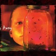 Il testo DON'T FOLLOW degli ALICE IN CHAINS è presente anche nell'album Jar of flies - ep (1994)