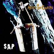 Il testo GOT ME WRONG degli ALICE IN CHAINS è presente anche nell'album Sap - ep (1992)