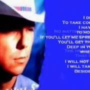 Il testo I WILL STAND di KENNY CHESNEY è presente anche nell'album I will stand (1997)