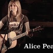 Il testo ALABAMA BOY di ALICE PEACOCK è presente anche nell'album Alice peacock