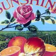 Il testo HAWAIIAN NIGHTS dei THE KINGSTON TRIO è presente anche nell'album Looking for the sunshine (1983)