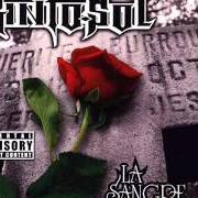 Il testo SKIT dei KINTO SOL è presente anche nell'album La sangre nunca muere (2005)
