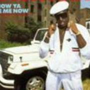 Il testo HOW YA LIKE ME NOW di KOOL MOE DEE è presente anche nell'album How ya like me now (1987)