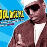 Il testo ROCK STEADY di KOOL MOE DEE è presente anche nell'album Kool moe dee (1987)