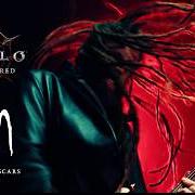 Il testo REWARD THE SCARS dei KORN è presente anche nell'album Reward the scars (2026)