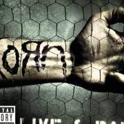 Il testo RIGHT NOW dei KORN è presente anche nell'album Live & rare (2006)