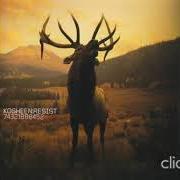 Il testo ZONE 8 di KOSHEEN è presente anche nell'album Independence (2012)