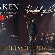 Il testo SIN MIEDO AL DOLOR dei KRAKEN è presente anche nell'album Kraken vi: una leyenda del rock! (1999)