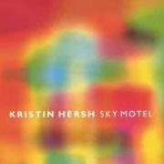 Il testo A CLEANER LIGHT di KRISTIN HERSH è presente anche nell'album Sky motel