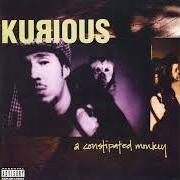 Il testo WALK LIKE A DUCK di KURIOUS è presente anche nell'album A constipated monkey (1994)