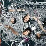 Il testo BLACK CAT dei LADYTRON è presente anche nell'album Velocifero (2008)