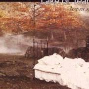 Il testo HOLD ON TIGHT dei LAKE OF TEARS è presente anche nell'album Forever autumn (1999)