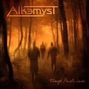 Il testo THROUGH PAINFUL LANES degli ALKEMYST è presente anche nell'album Through painful lanes (2008)