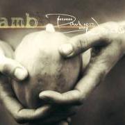 Il testo WONDER di LAMB è presente anche nell'album Between darkness and wonder (2003)