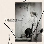 Il testo PUSH di L'AME IMMORTELLE è presente anche nell'album Ungelebte leben (2024)