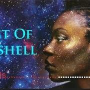 Meshell Ndegeocello