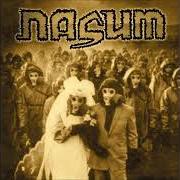 Nasum