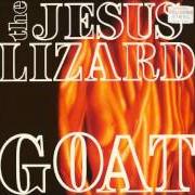 The Jesus Lizard