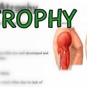 Atrophy