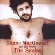 Shane Macgowan & The Popes