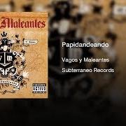 Vagos Y Maleantes