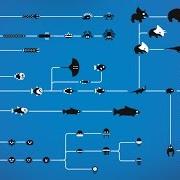 Evolution