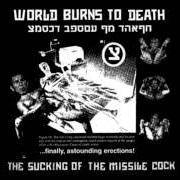 World Burns To Death