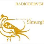 Radiodervish