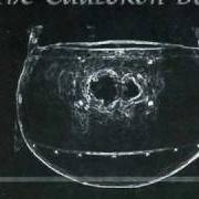 Cauldron Born