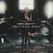 Brother Bird