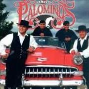 Los Palominos