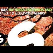 I Am Oak