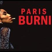 Paris Burning